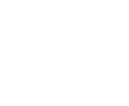 Evolution games at Platinum Palace Casino